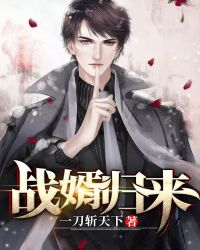 战婿归来封面