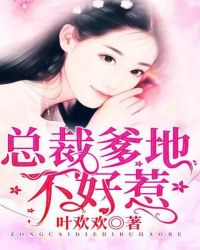 总裁爹地不好惹封面