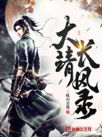 大靖长风录封面