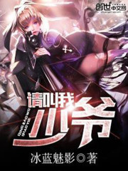 请叫我少爷封面