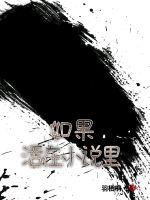 如果活在小说里封面