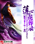 莲心花葬录封面