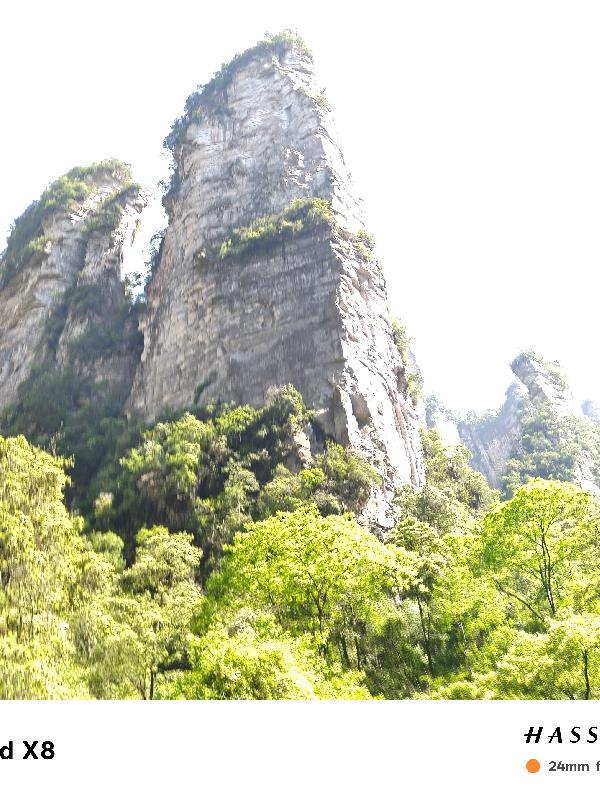 荷叶闲客中短篇小说选集四封面