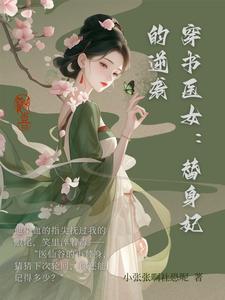 穿书医女:替身妃的逆袭封面