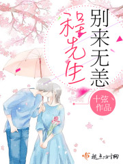 程先生别来无恙封面