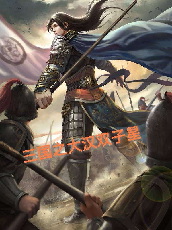 三国之大汉双子星封面