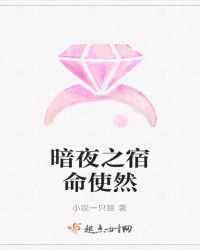 暗夜之宿命使然封面