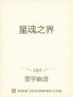 星魂之界封面