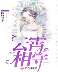 云霄相守封面