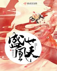 盛世凰天封面