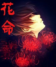 花命封面