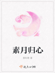 素月归心封面