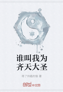 谁叫我为齐天大圣封面
