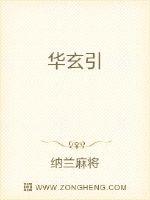 华玄引封面