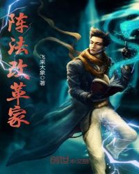 阵法改革家封面