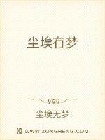 尘埃有梦封面
