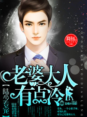 陆少专宠：老婆大人有点冷封面