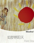 如梦艳阳天封面