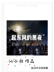 起东风的黑夜封面