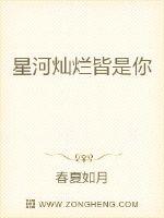 星河灿烂皆是你封面