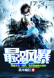 最强风暴封面