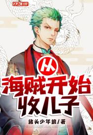 从海贼开始收儿子封面