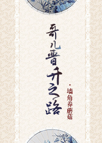 哥儿晋升之路封面