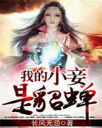 我的小妾是貂蝉封面