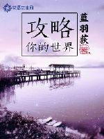 攻略你的世界封面