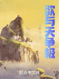 欲与天争极封面