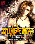 新功夫皇帝封面