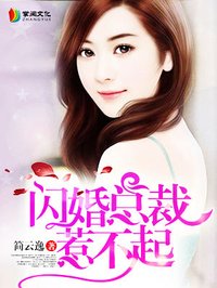 闪婚总裁惹不起封面
