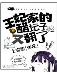 王妃家的醋坛子又翻了封面