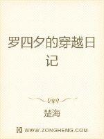 罗四夕的穿越日记封面