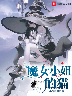 魔女小姐的猫封面