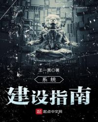 系统建设指南封面