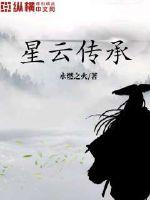 星云传承封面