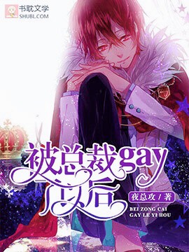 被总裁gay了以后封面