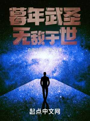 暮年武圣，无敌于世封面