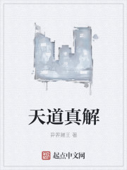 天道真解封面