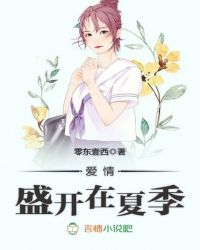 爱情，盛开在夏季封面