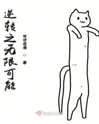 逆转之无限可能封面