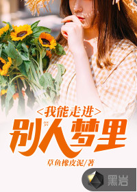 我能走进别人梦里封面