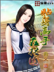 贴身高手在校园封面