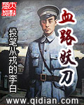 血路妖刀封面
