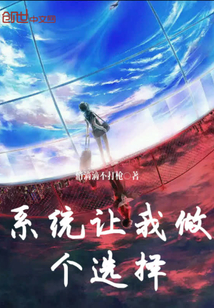 系统让我做个选择封面