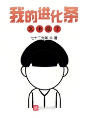 我的进化条又卡住了封面