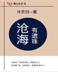 沧海有遗珠封面