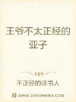 王爷不太正经的亚子封面