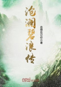 沧澜碧浪传封面